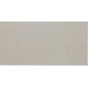 Belvedera polished 20x40