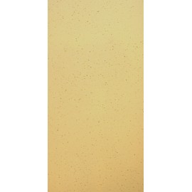 Roma Polido 30x60