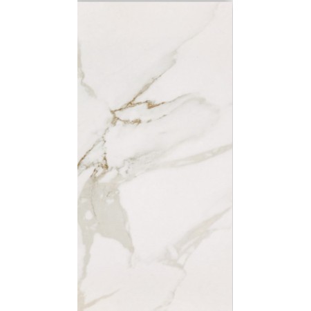 Statuario polished porcelain 30x60