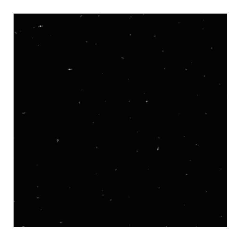 Speckled Super Black Polished Porcelain 60x60cm 