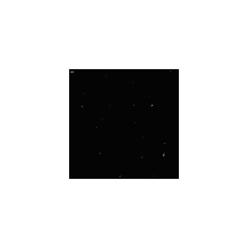 Speckled Super Black Polished Porcelain 30x30cm