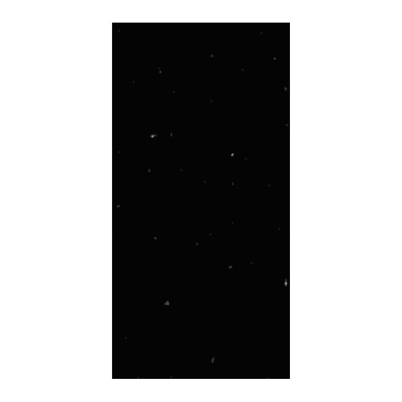 Speckled Super Black Polished Porcelain 30x60cm