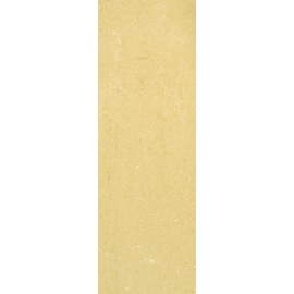 Barberini polished 20x60