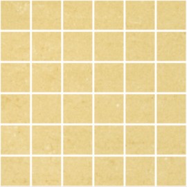 BARBERINI MOSAICS LARGE SQUARE 30X30CM 
