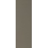 Alicante Matt 20x60