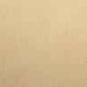 (25M) Bologna Beige Matt 60x60 Sold Singularly