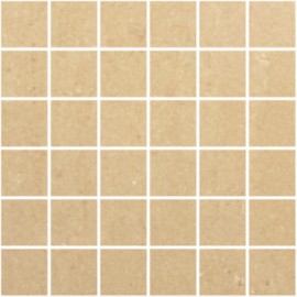 Bologna Matt Porcelain Large-Square Mosaic 30x30