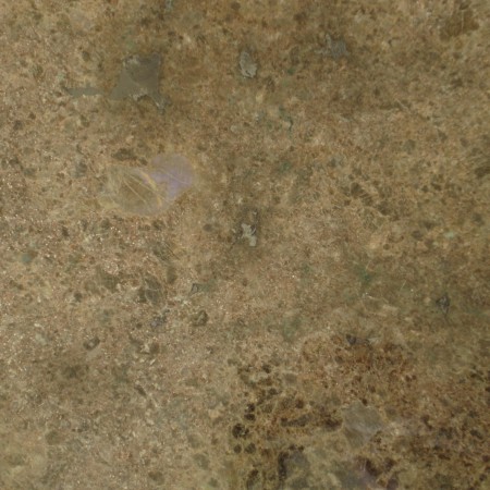 (N04) GRANITE LABRADOR ANTICO 30.5x30.5cm