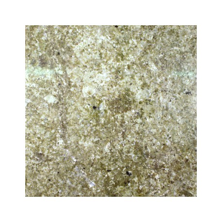 Verde Portofino Granite 30.5x30.5cm