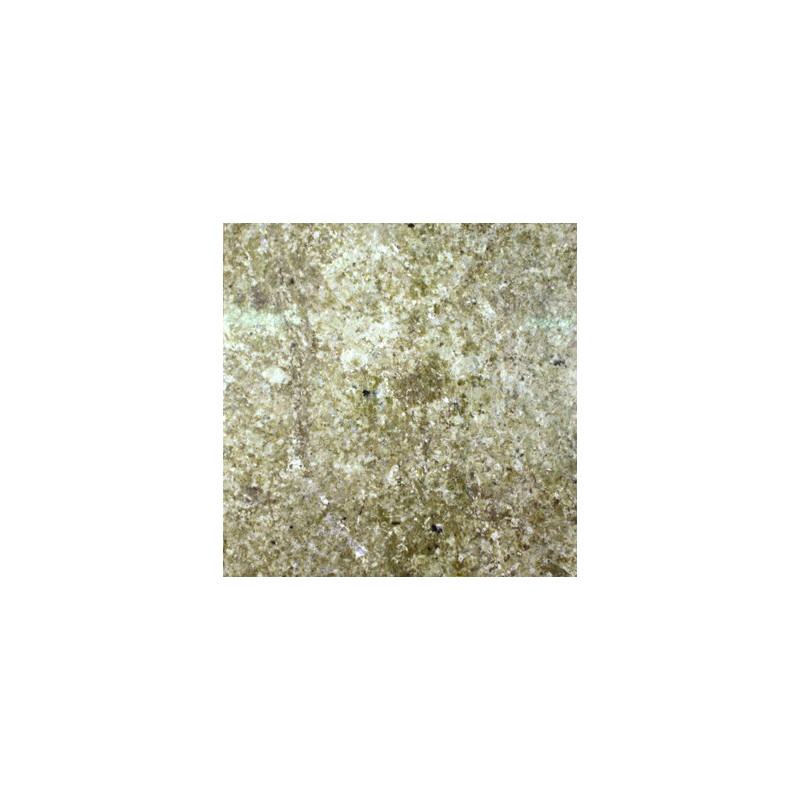 Verde Portofino Granite 30.5x30.5cm