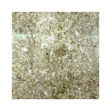 (M07) Verde Portofino Granite 30.5x30.5cm