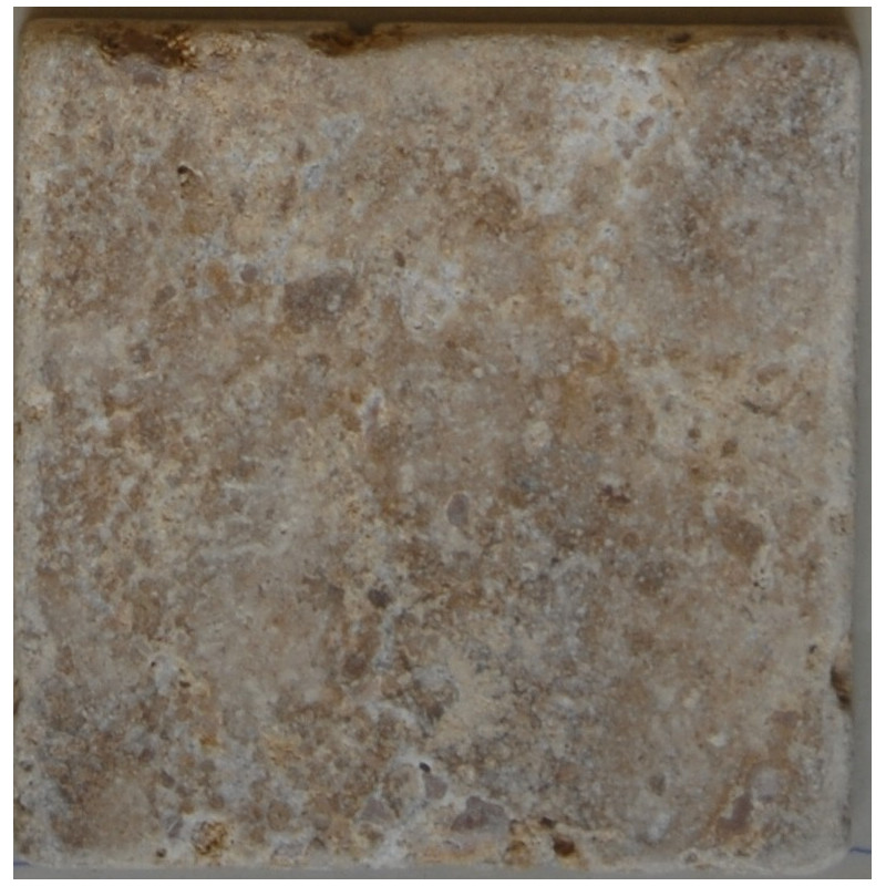 TUMBLED MARBLE WALL/FLOOR MN202 NOCE TRAV 10X10CM