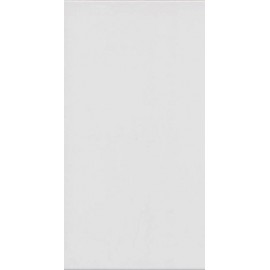Sal Sintesis Mate Blanco 31x60