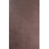 Prima Brown 25x40 Ceramic Tile Batch 53