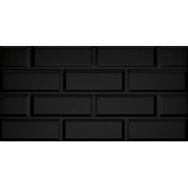 Tecni Metro Negro Brillo 25x50