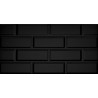 Tecni Metro Negro Brillo 25x50