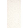 Tecni Parma Blanco Brillo 25x50