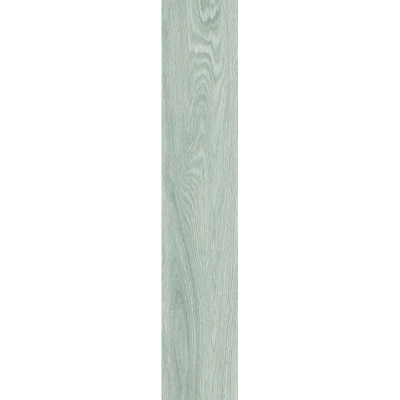 AROGAN GRIS
