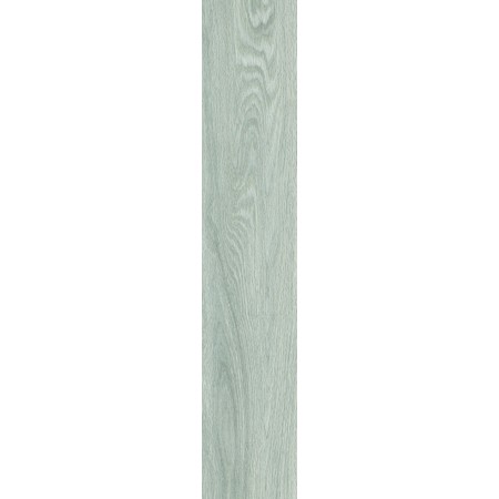 AROGAN GRIS