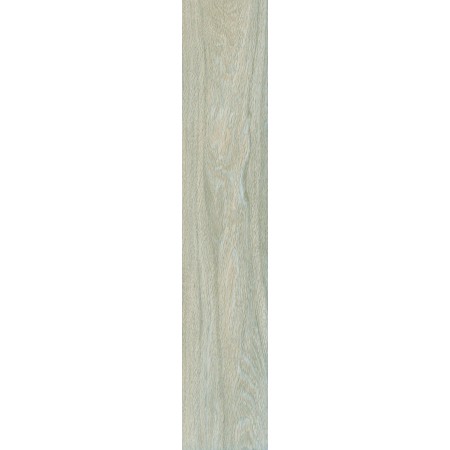 AROGAN GRIS