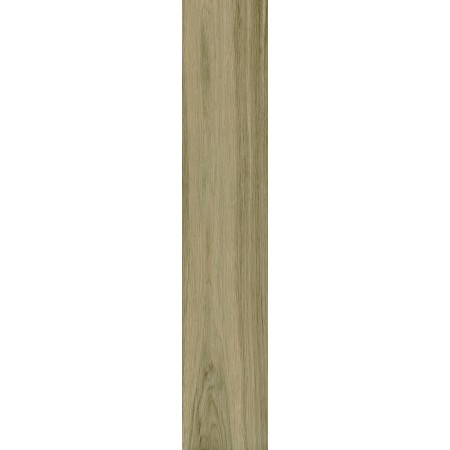 AROGAN GRIS