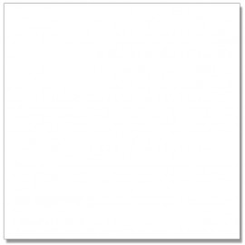Glacier White 60x60 Glacier White 60x60