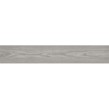 Robur Gris  24.8x150