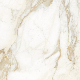 Calacatta Oro 60x60