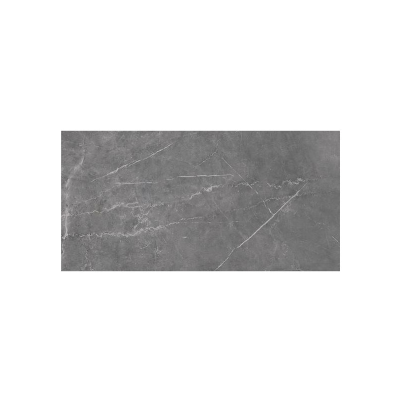 Saloni  Efeso Olympos Grafito Mate 45X90 (B30)