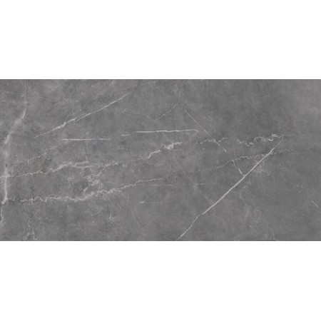 Saloni  Efeso Olympos Grafito Mate 45X90 (B30)