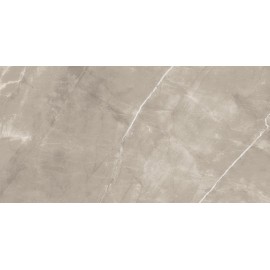 Poshing Grey Polished 60x120