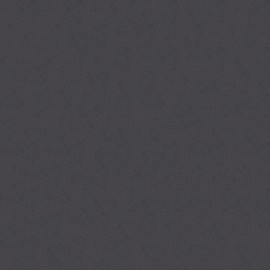 Saloni Proyeccion Antracita 60x60 (B25)
