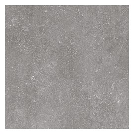 Saloni B-Stone Gris 60x60 B25