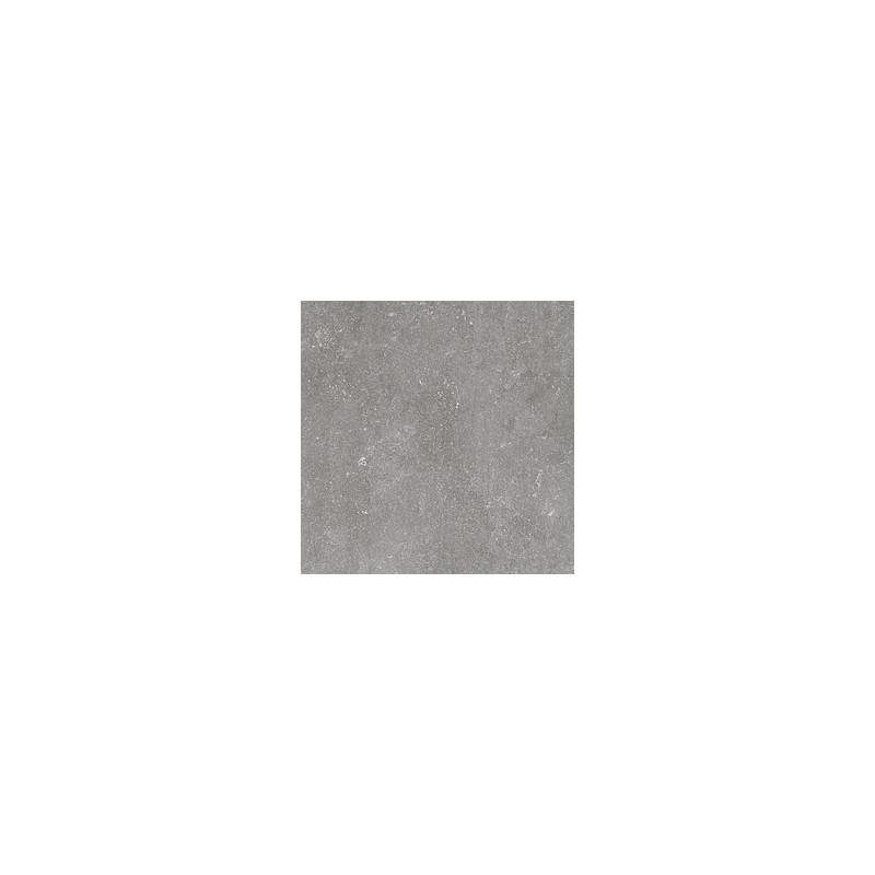 Saloni B-Stone Gris 60x60 B25