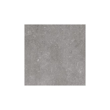 Saloni B-Stone Gris 60x60 B25