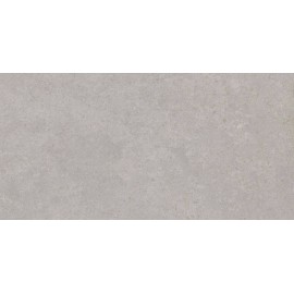 Saloni Way Gris 30x60 (B16)