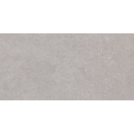 Saloni Way Gris 30x60 (B16)