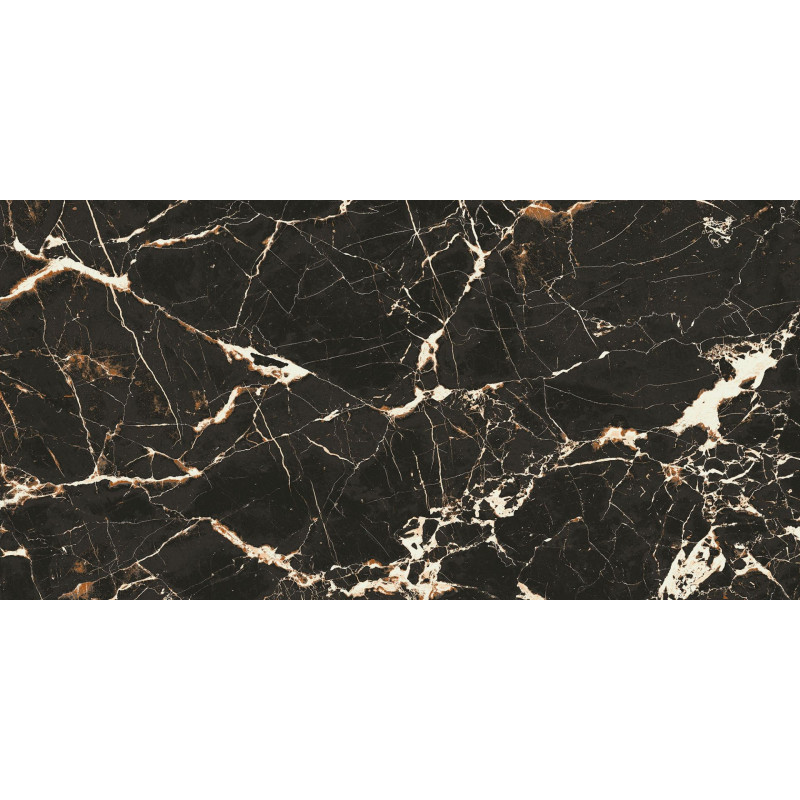 Fiesta Black 60x120 Polished