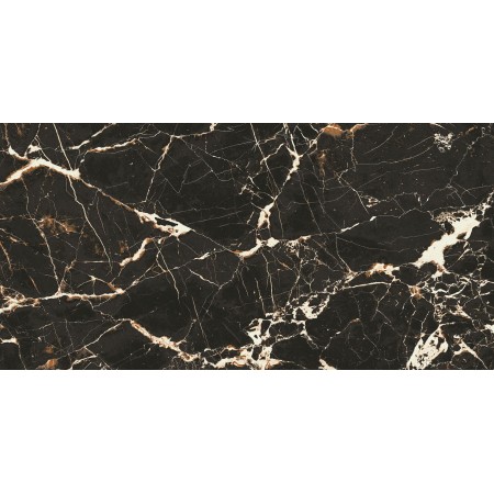 Fiesta Black 60x120 Polished