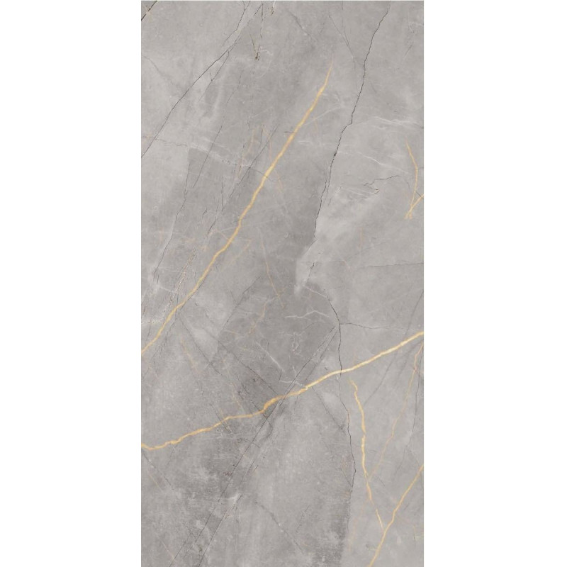 Polaris Grey 60x120