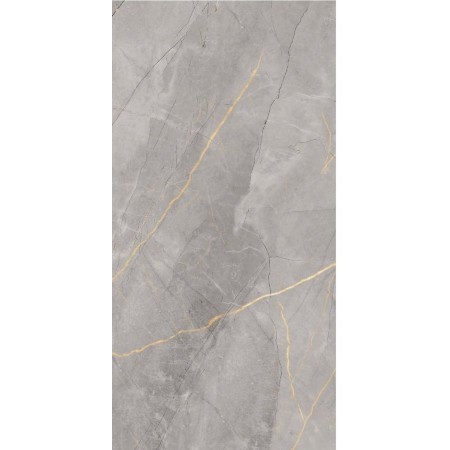 Polaris Grey 60x120