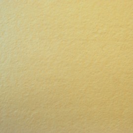 Bologna Flamed 60x60