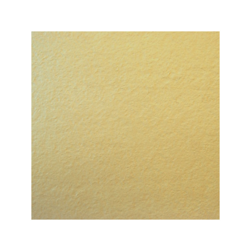 Bologna Flamed 60x60