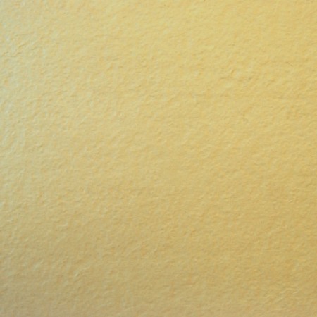 Bologna Flamed 60x60