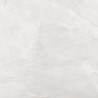 Georgio Blanco Polished 60x60cm