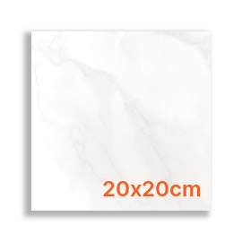 Carrara Polished Porcelain 20x20cm Carrara Polished Porcelain