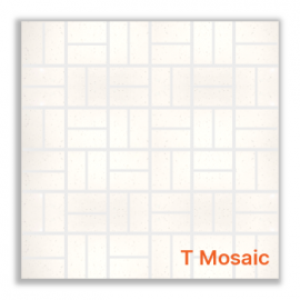 Snow Flake Polished Porcelain T Mosaics 30x30cm Snow Flake Polished Porcelain