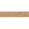 Carabela Camel 23x1.2