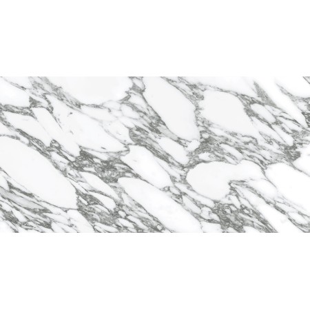 Arabescatto White Polished 60x120