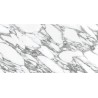 Arabescatto White Polished 60x120